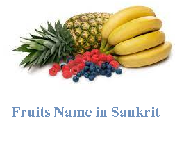 Fruit Name in Sanskrit and Hindi